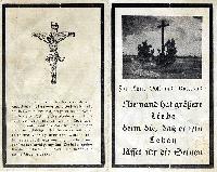 Bild 230